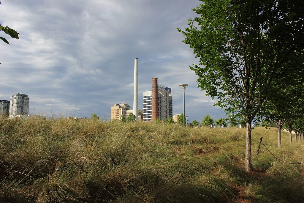 Tall ornamental grasses in Railroad Park, with a brick smokestack and downtown office towers behind