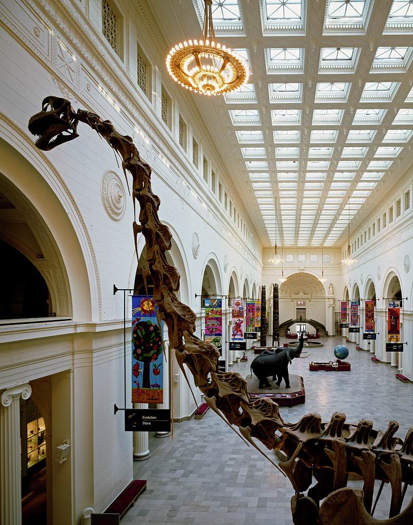 The Field Museum exhibit hall in Grant Park, Chicago