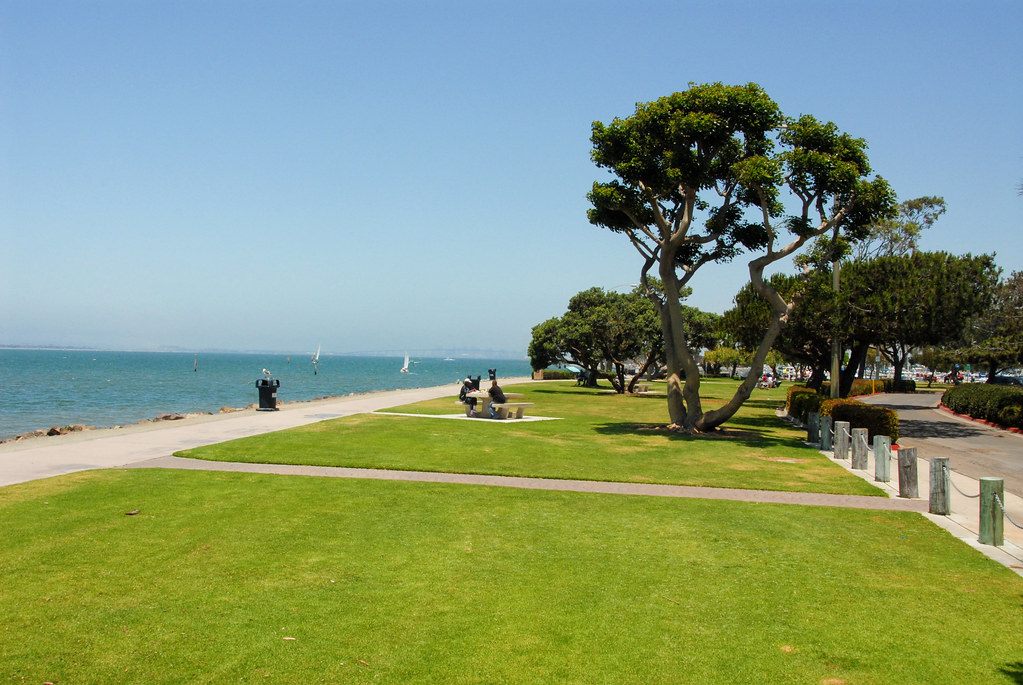 A wide lawn and waterfront path with sculptures and wind-shaped trees beside the calm blue water of San Diego Bay, sailboats in the distance