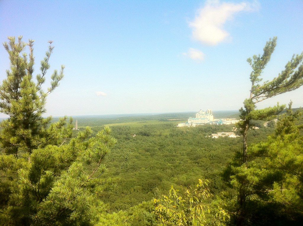 Foxwoods Resort Casino seen far off across miles of green Connecticut forest from the top of Lantern Hill, framed by pine trees