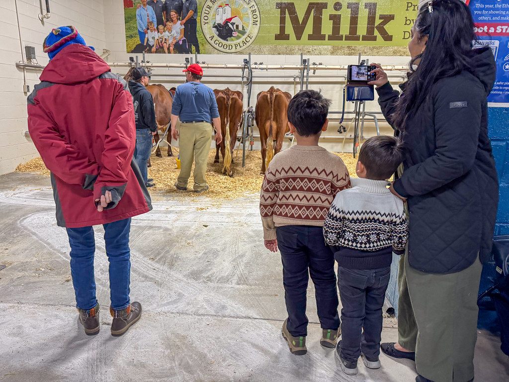 Visitors watching cows in the milking parlor at the 2026 Pennsylvania Farm Show