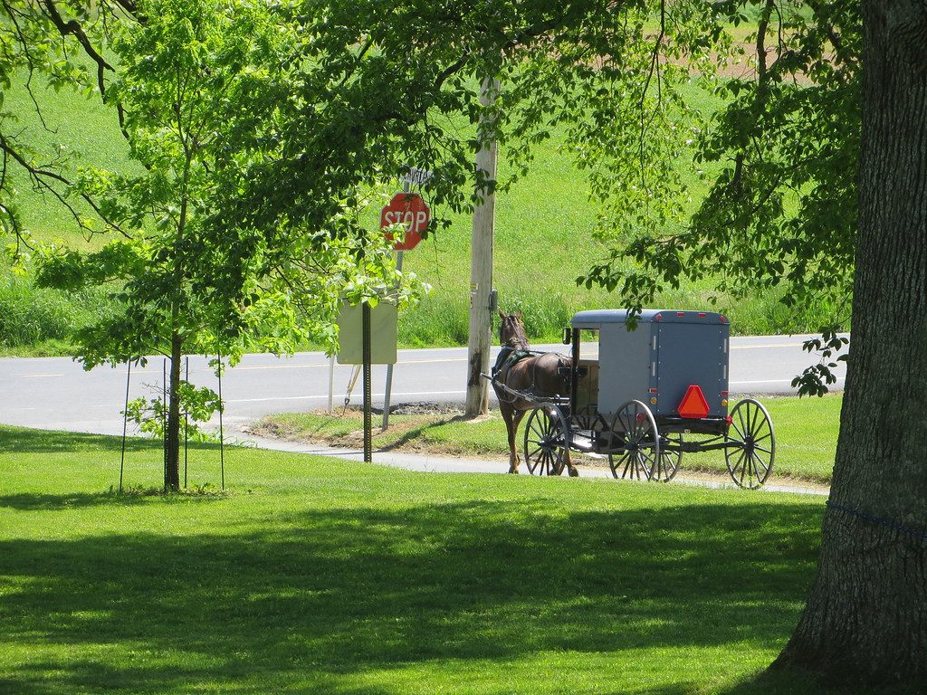 An Amish horse and buggy on a country road in Lancaster County