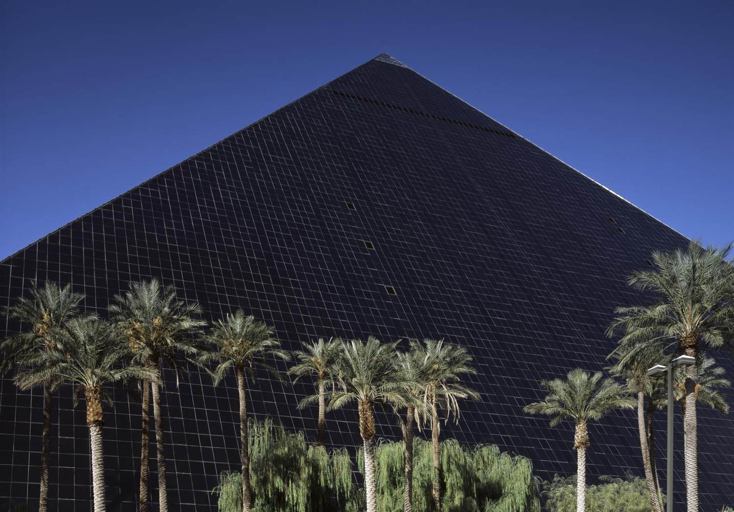 The black glass Luxor pyramid behind a row of palm trees