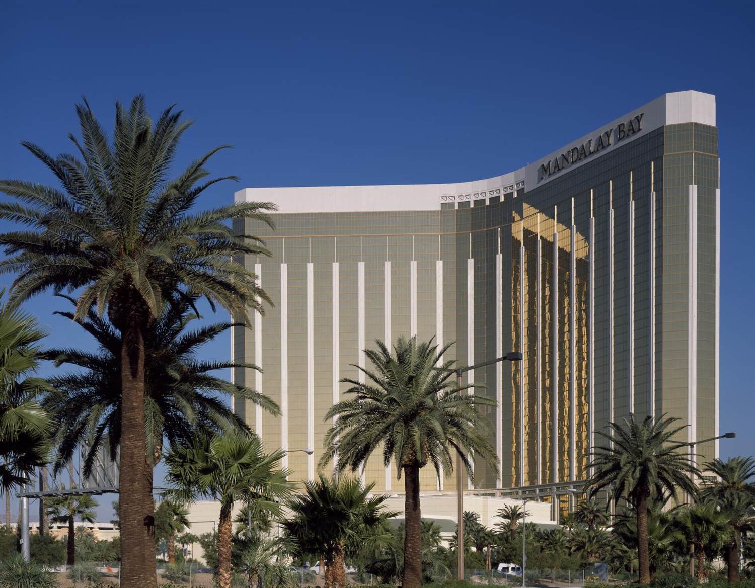 The gold glass Mandalay Bay tower behind palm trees on a clear day