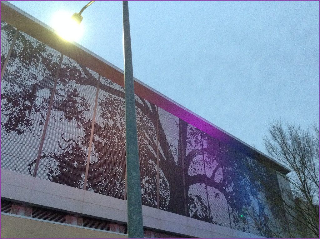 The Shimmer Wall on the convention center: a huge oak tree picked out in thousands of small metal panels across the upper facade, lit at dusk