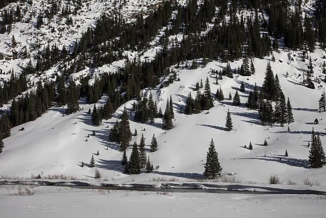 A snow-covered mountainside with evergreen trees in Summit County, Colorado