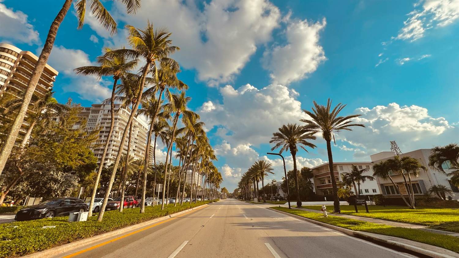 A Miami Beach street lined with palm trees and tall buildings