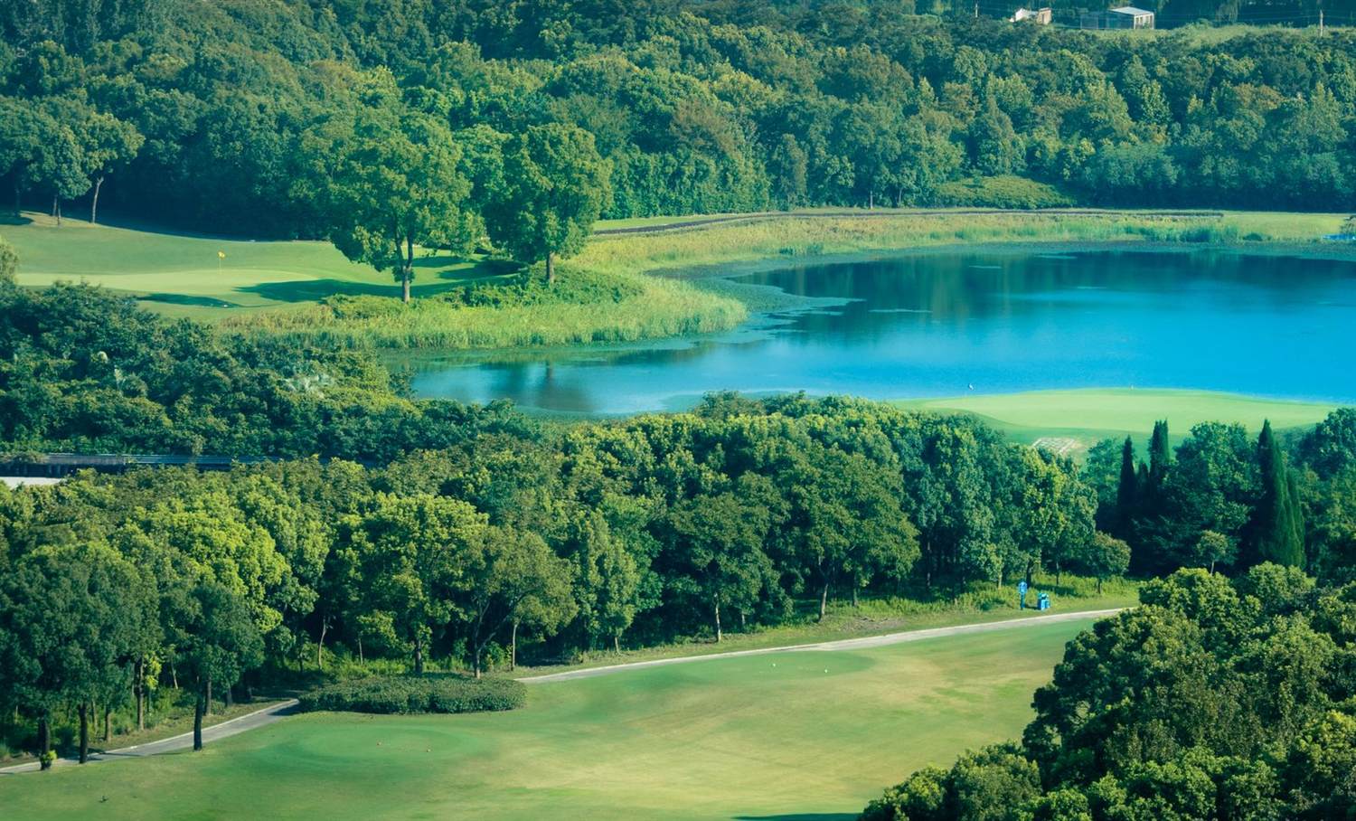 Aerial view of a lush green golf course surrounded by forest