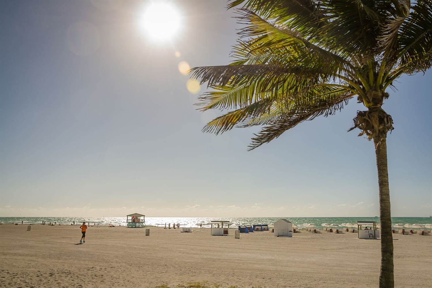 A South Florida beach with a lifeguard stand and a palm tree at midday