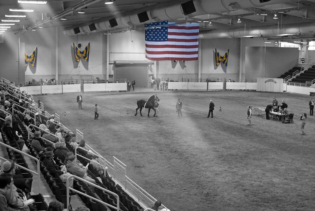 Spectators in the stands watching a draft horse being shown on the dirt floor of the New Arena at the Farm Show Complex