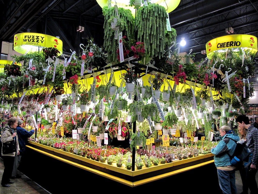 Visitors browsing a tiered hanging-plant marketplace stand under yellow vendor signs at the Philadelphia Flower Show