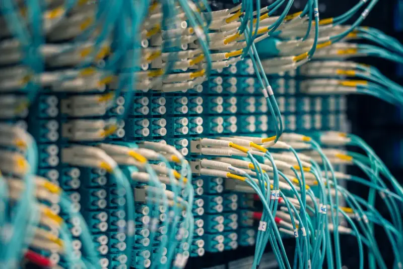 Close rows of white connectors with thin blue fiber cables in a data center patch panel