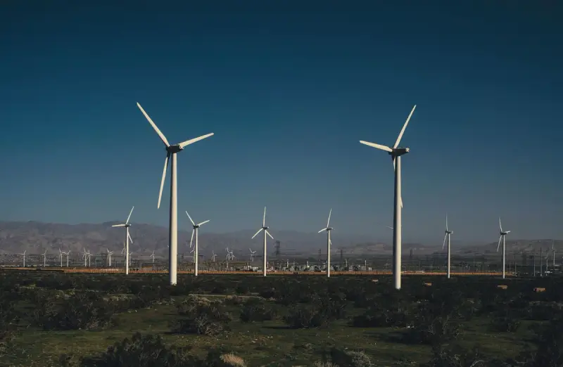 Rows of wind turbines spread across a large wind farm under a clear blue sky