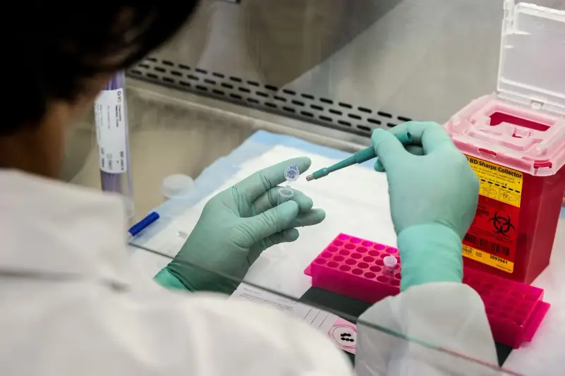 Gloved hands handling sample tubes inside a biosafety cabinet