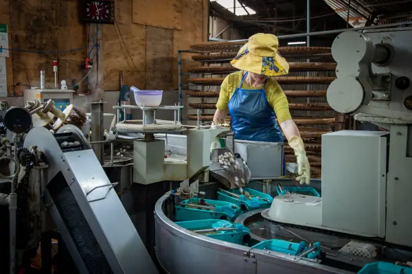 Woman wearing work clothes operating equipment in a factory