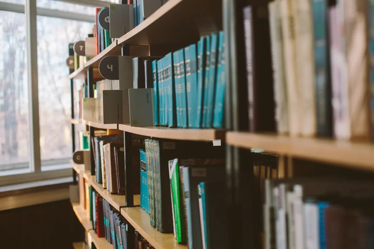 Close-up of organized books on a library shelf in window sunlight