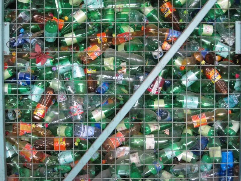 Collected plastic bottles gathered together for recycling