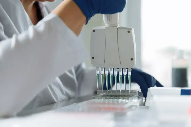 Gloved hand loading a multiwell plate with an eight-channel pipette