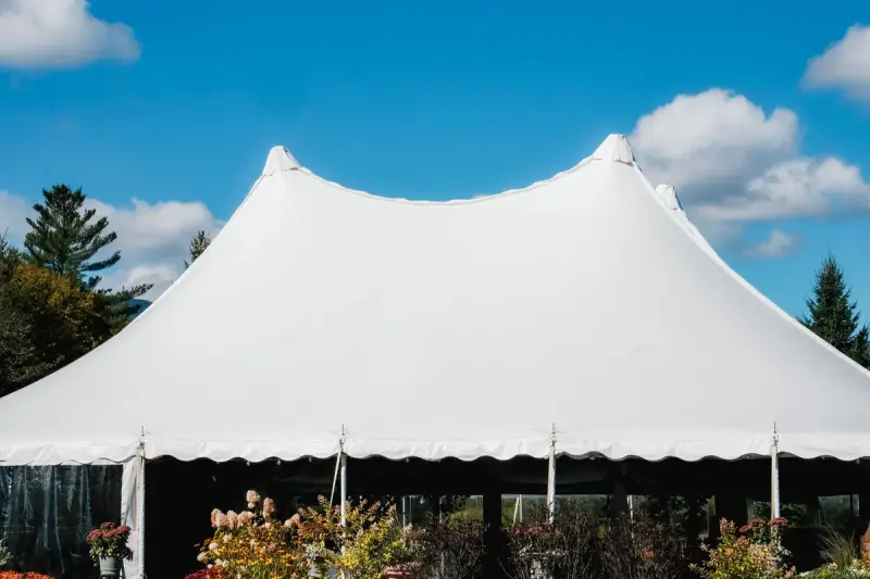 Peaked white pole tent set up outdoors against a blue sky with evergreen trees