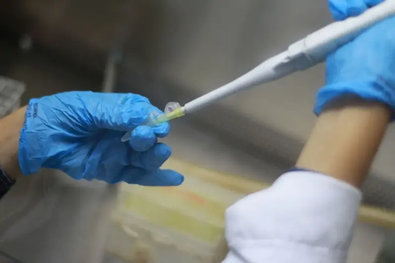 Gloved hands holding a micropipette over a small sample tube