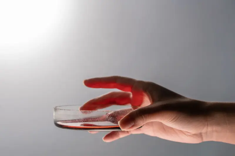 Hand holding a petri dish with a red sample against a grey background