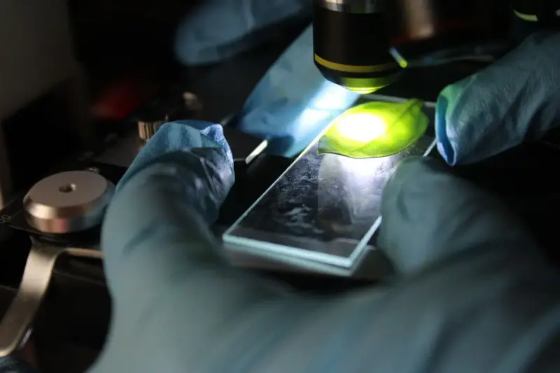 Gloved hand placing a glass slide on a lit microscope stage in a dark lab