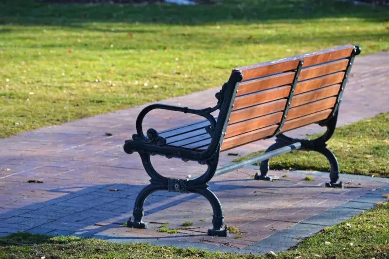 Wooden park bench with black metal frame beside a paved path in a sunny park