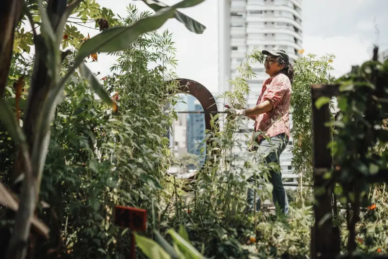Smiling woman tending plants in a rooftop garden with city towers behind her