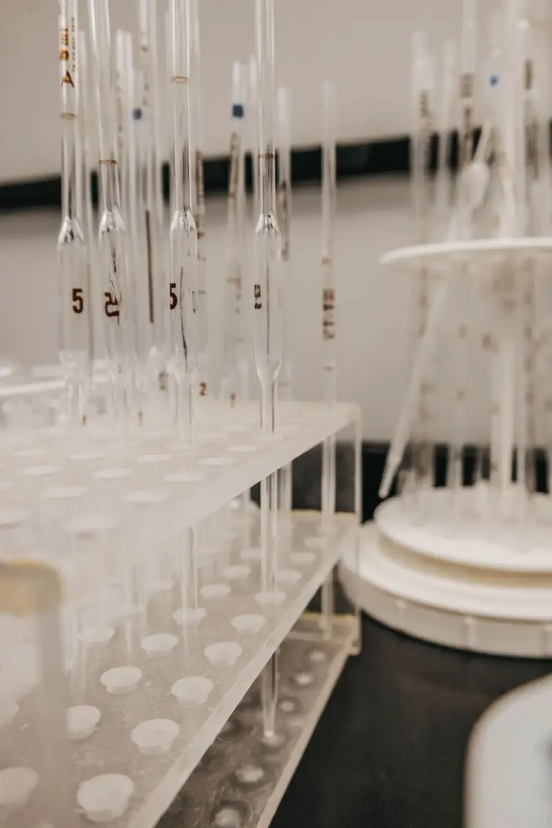 Rows of glass pipettes standing in laboratory racks