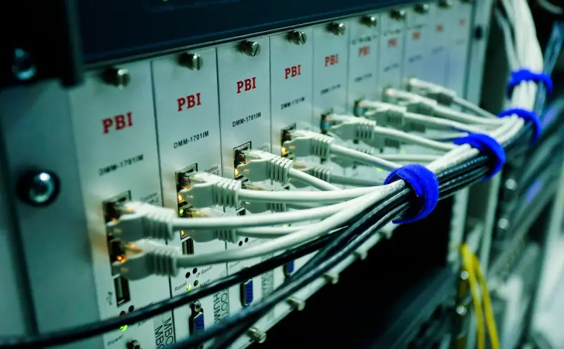 Ethernet cables plugged into the ports of a network switch panel