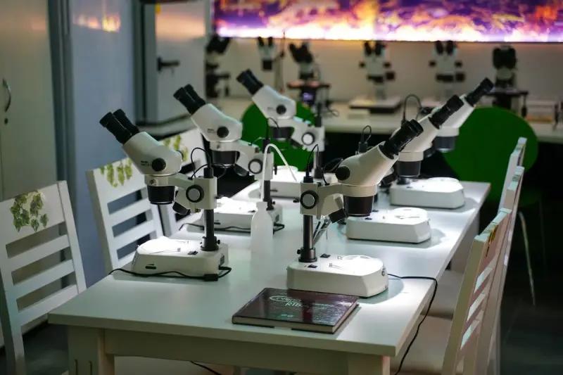 Teaching laboratory with rows of stereo microscopes on white benches