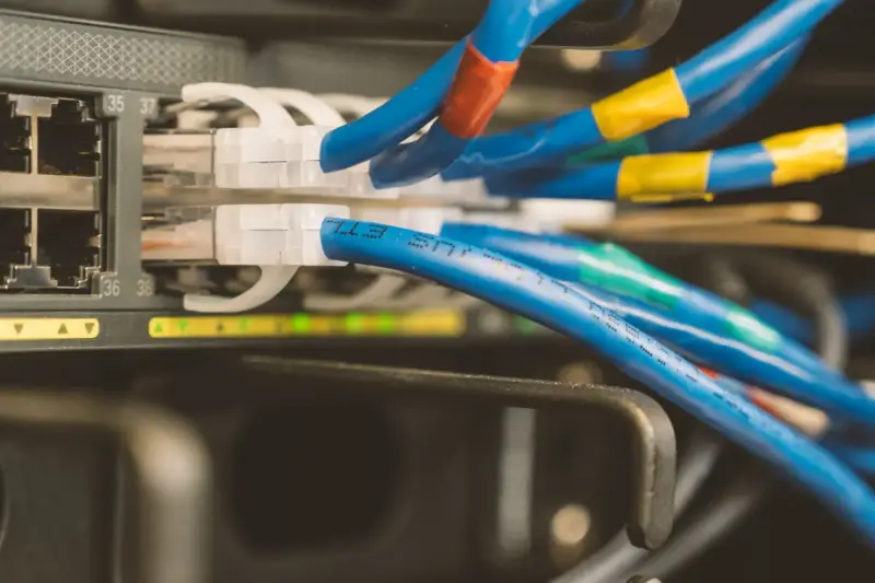 Blue ethernet cables with labels plugged into the ports of a network switch