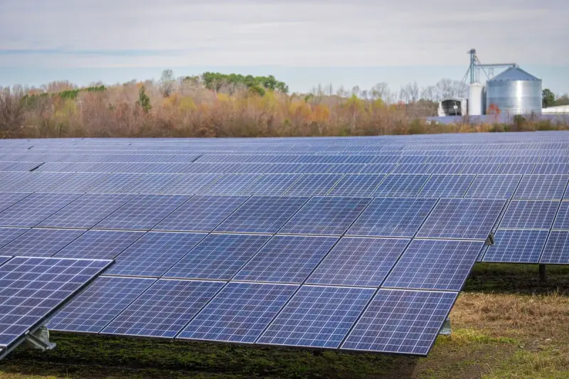 Large field of solar panels under a clear sky