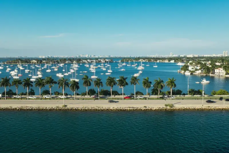 Sailboats moored on Biscayne Bay with palm trees along the shore