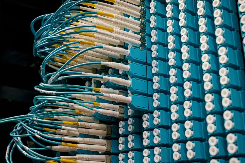 Close view of fiber patch cables plugged into rows of connectors on a blue patch panel
