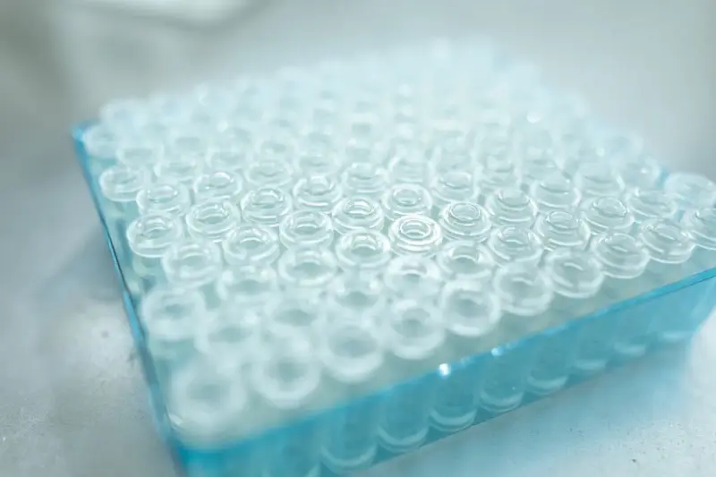 Clear glass sample vials arranged in rows in a blue laboratory tray