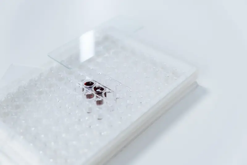 Clear multiwell plate with small sample vials resting in the wells on a white bench