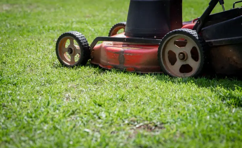 Low close view of a red push mower deck and wheels on freshly cut green grass
