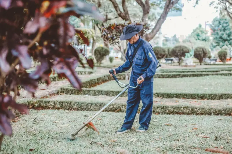 Park groundskeeper in a cap and coveralls edging lawn with a string trimmer beside low hedges