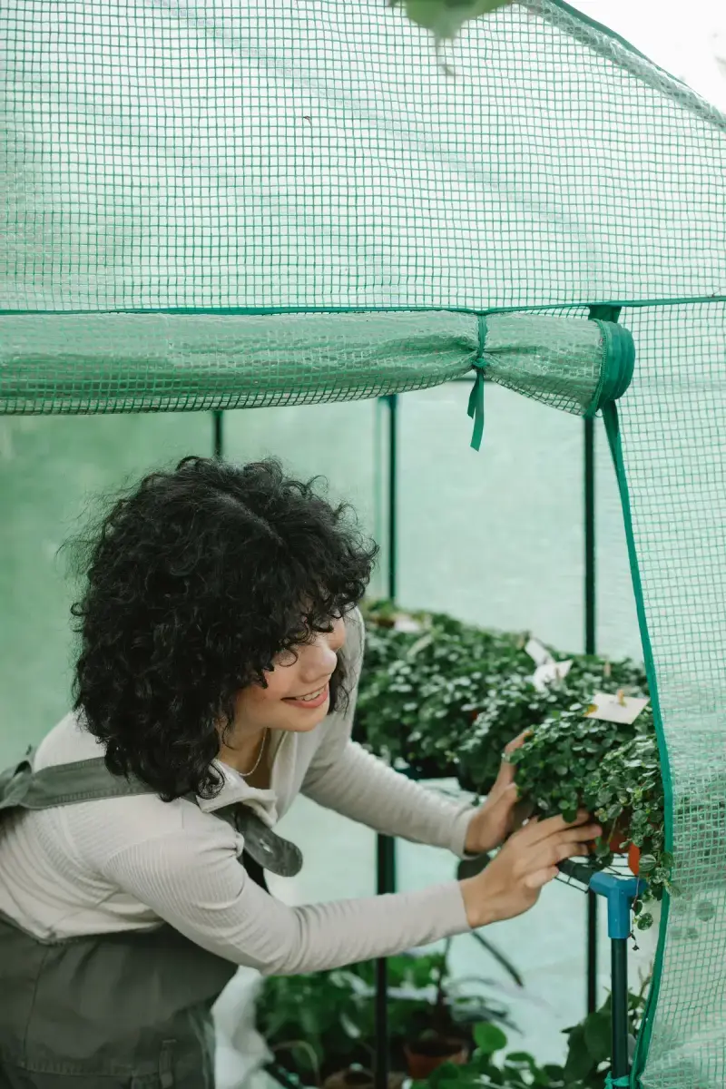 Woman horticulturist working with green potted plants in a greenhouse