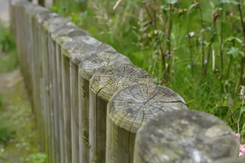 Row of round weathered timber fence posts beside tall green grass