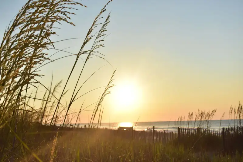 Golden sunrise over sand dunes and sea oats on Myrtle Beach