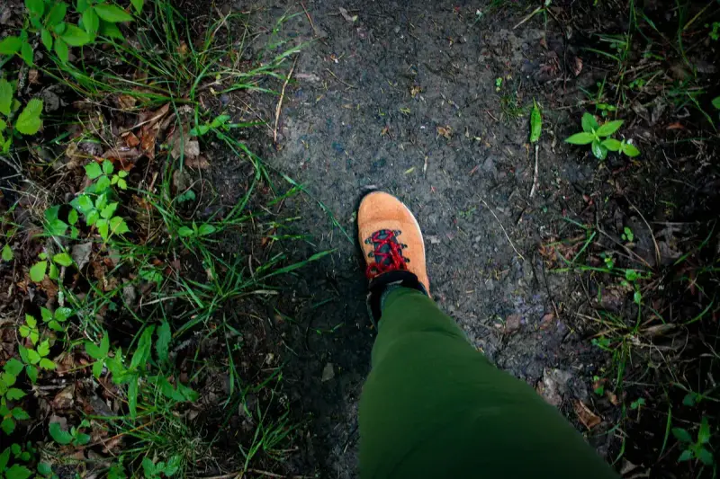 Top-down view of a hiking boot on a dirt trail edged with green plants