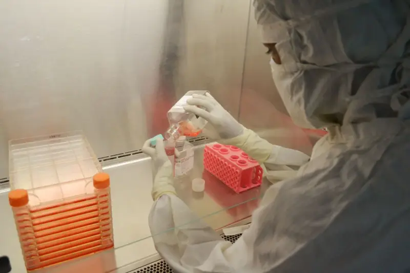 Scientist in protective clothing working inside a biosafety cabinet with orange-capped tube racks