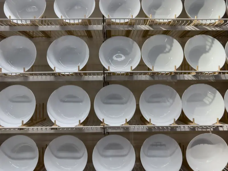 White porcelain plates displayed upright in rows on metal store shelving