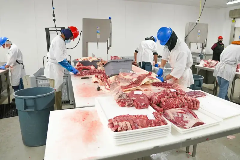 Workers in safety gear cutting meat inside a North Carolina meat processing facility