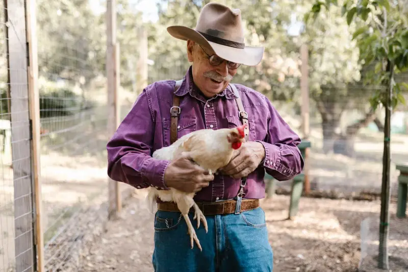 Smiling farmer in a cowboy hat and suspenders holding a white rooster on a farm