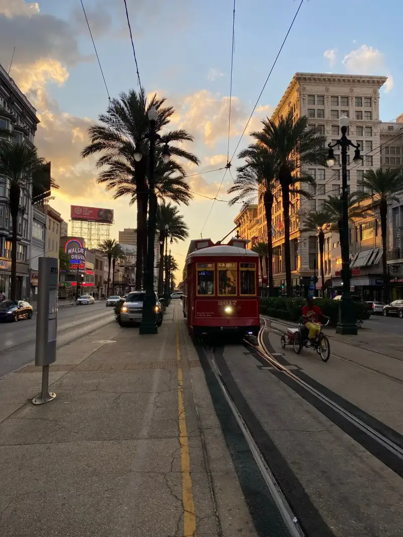 Red streetcar on a palm-lined street in downtown New Orleans at sunset