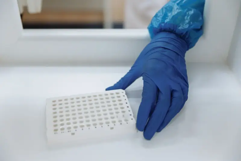 Blue-gloved hand placing a white sample plate inside a clean bench