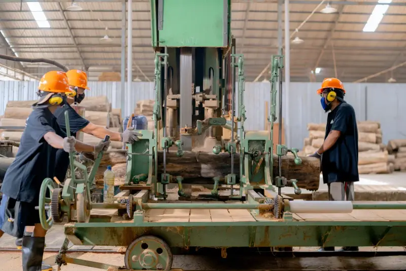 Workers operating lumber processing machinery in a woodworking factory